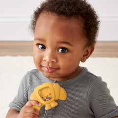 Bitzy Shake Plus™ Rattle & Teether